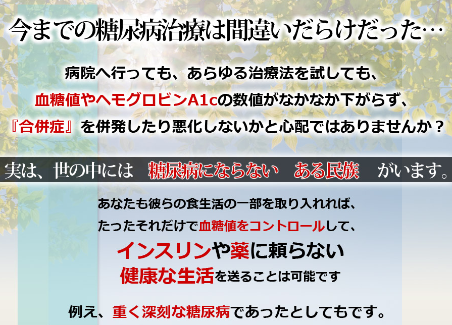【荒木式】糖尿病改善プログラム