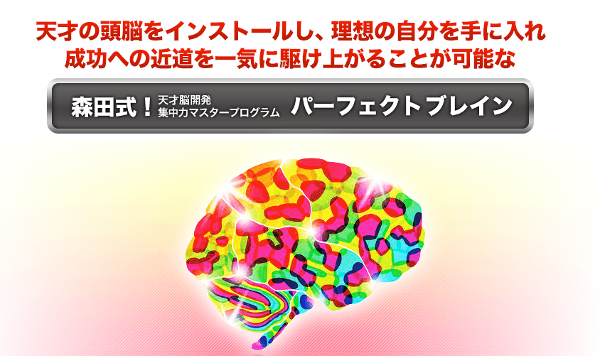 パーフェクトブレイン