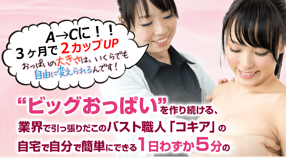 ファイブタッチバストアップ